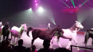 Circo Hermanos Vazquez Queens NY 2015 caballos