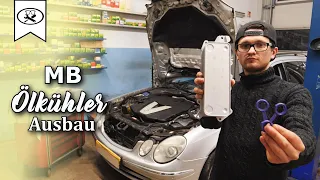 Mercedes Benz 3.0 OM 642 Ölkühler Ausbauen | Remove the oil cooler | VitjaWolf | Tutorial | HD