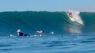 This Week In Nosara #13: Super fun surf!!! People flying things, Nadav is ripping, cows, flyaways, +