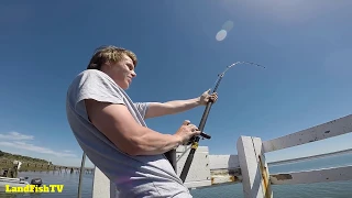 CATCHING a MONSTER in the waters of Western Port Bay