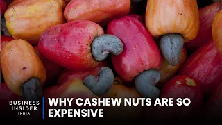 Why Cashew Nuts Are So Expensive | So Expensive