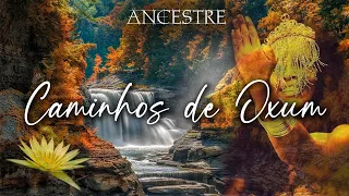 Caminhos de Oxum - ( Ancestre ) - Música de rezo - Umbanda - Candomblé