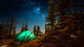 6 Campfire Sounds   Relaxing Forest and Nature Soundscape  Camping Under the Stars 39xoSAcsMw8