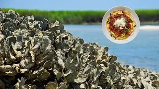 Oysters Catch and Cook! DELICIOUS)