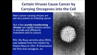 Unit9C Genetics of Cancer