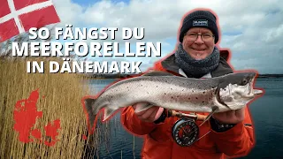 Angeln in Dänemark - So fängst du Meerforellen