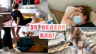 Настоящее утро с 2 КОРГИ🐶  КАК ЕГО УГОВОРИТЬ⁉️ первое КТГ 📈 покупки для малыша и дома 📦 VLOG