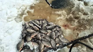 РЫБАЛКА СЕТЯМИ! КАРАСЬ ЩУКА! Промысловая зимняя рыбалка на сети на реке Амур!