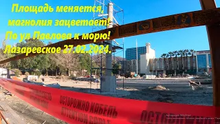 Магнолия, площадь у ЦНК меняется, а мы по Павлова к морю!🌴ЛАЗАРЕВСКОЕ 27.02.2024.🌴СОЧИ.