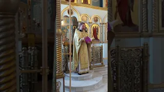 Проповедь. протоиерей Сергий Кунегин. храм в честь Успения Пресвятой Богородицы