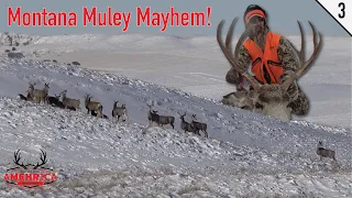 Montana Muley Mayhem! | Outdoors AMEHRICA | S01 E3 |