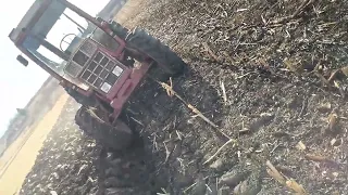 International (Case Ih) plowing, solo driving. #case #trending #tractor #agriculture #hardwork