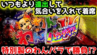 "特別仕様の台??"わざわざ遠出してレア台を打った結果…【PAわんわんパラダイスV】《ぱちりす日記》甘デジ 海物語 ギンパラ わんパラ