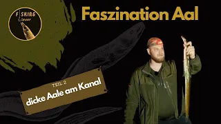 Dicke Aale am Kanal - Faszination Aal - Teil 2