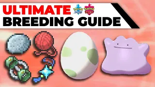 ULTIMATE Breeding Guide: Perfect IVs, EVs, Natures, Hidden Abilities | Pokémon Sword & Shield