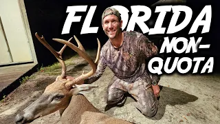 HOW DID THAT EVEN HAPPEN?! BIG BUCK DOWN on Florida Public Land