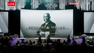 Herbert Wigwe: Celebrating Professional Excellence