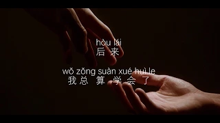 【后来(Later)-刘若英】HOU LAI - LIU RUO YING /TIKTOK,抖音,틱톡/ 병음가사, 拼音歌词, pinyin lyrics /광고 없음, No AD, 无广告