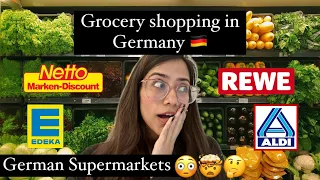 Grocery shopping in Germany 🇩🇪 | Grocery prices in German Supermarkets | Indians 🇮🇳 in Germany 🇩🇪