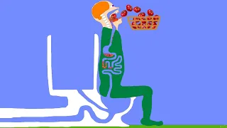 【Algodoo】Toilet While Eating Tomatoes 2.　トマトを食べながらトイレをする人 2
