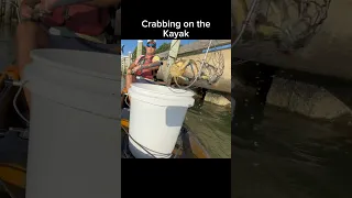 Crabbing on the kayak 👀🦀👀 #chesapeakebay #crabbing #bluecrab