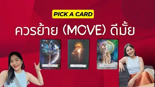 ควรย้าย (move) ดีมั้ย : Pick a Card (timeless)
