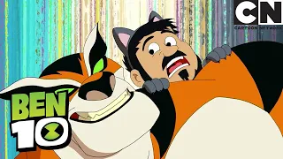 Ben 10 Enters A Cat Competition | Ben 10 | Cartoon Network