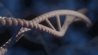Blender 2.8 DNA test