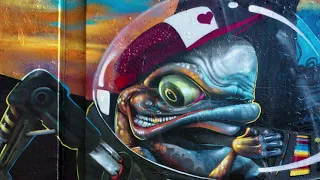 Streetart Graffiti Berenkuil Eindhoven 4k