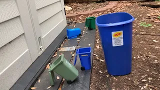 Trash Day In Real Life 7