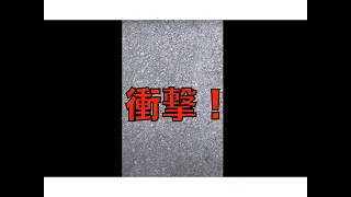 【卓球】林昀儒スーパーZLC