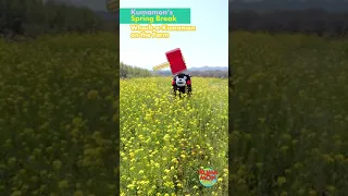 Kumamon's Spring Break - Whach-a-Kumamon on the Farm