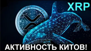 Активность китов XRP растет с каждым днем!!! / Новый партнер Ripple!!!