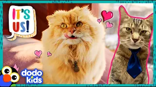 These Cute Kitties Found Families And…Jobs?! | Dodo Kids | It’s Me!