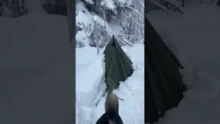 WINTER CAMPING in SNOW With My Dog. -13° wilderness SURVIVAL