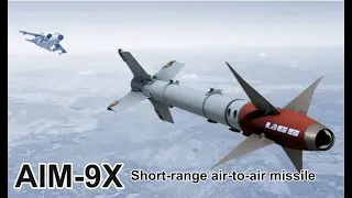 AIM 9X