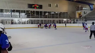 Hvidovre - Féminine Zone Ouest