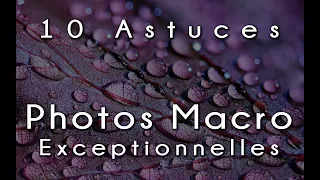 10 ASTUCES pour des PHOTOS MACRO exceptionnelles