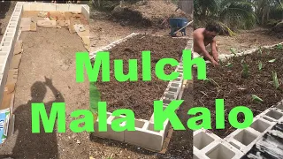 How To Create A Mulch Mala Kalo At Home