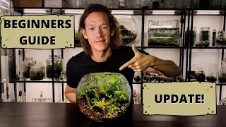 How To Make A Terrarium | A Beginners Guide