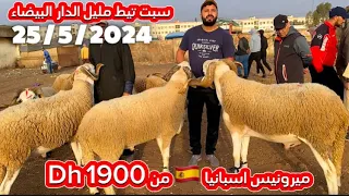 سوق حولي سبت تيط مليل 🇲🇦 الدار البيضاء 25/5/2024 خروف اسبانيا 🇪🇸 من1900 درهم لدراوش