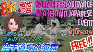 【8K】Karate performance at a certain Japanese event / 日本のとある空手道場の演舞