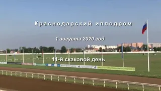 Видео 11 скаковой день   01 08 2020г  Краснодарский ипподром