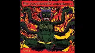 Various ‎– The Psychedelic Experience Vol 2 : 60s Rare Garage Rock Punk Bands Music Compilation
