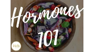 Hormones 101 Webinar