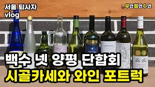 서울 퇴사자 vlog | 백수 넷 양평 단합회, 시골카세와 와인 포트럭 (부끄러움주의!!)