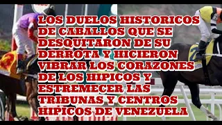 TOP 7 LAS MEJORES RIVALIDADES DEL HIPODROMO LA RINCONADA Y DE CABALLOS QUE DESQUITARON SU DERROTA