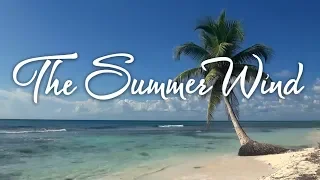 The Summer Wind | Frank Sinatra Karaoke