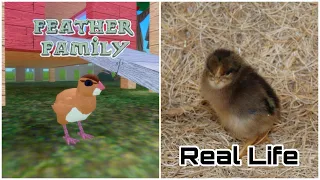 Feather Family In Real Life 7