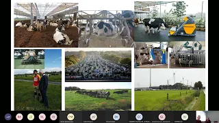 Webinar 23/02/2022 Resilience for Dairy : Main challenges and solutions in the Dutch Dairy Sector